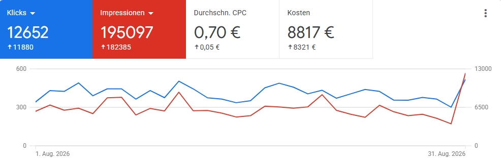 Beispielhafte Auswertung der Kampagnenperformance mit Klick- und Conversion-Daten